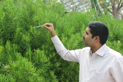 Kae Kae attempting to be as a Botanist