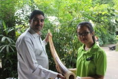 Kae Kae being handed over Elephant Tusk