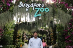 kksingaporezoo